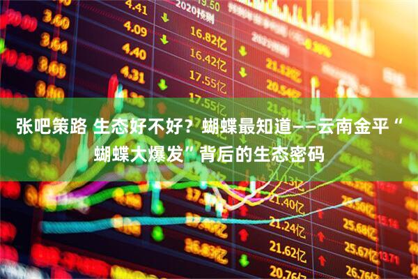 张吧策路 生态好不好？蝴蝶最知道——云南金平“蝴蝶大爆发”背后的生态密码