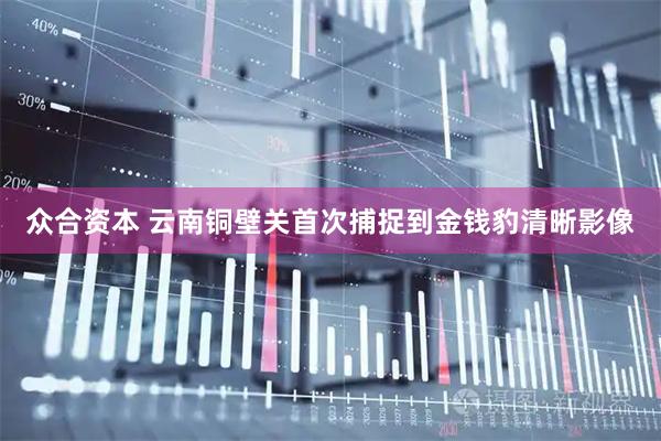 众合资本 云南铜壁关首次捕捉到金钱豹清晰影像