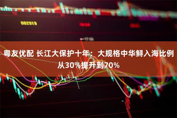 粤友优配 长江大保护十年：大规格中华鲟入海比例从30%提升到70%
